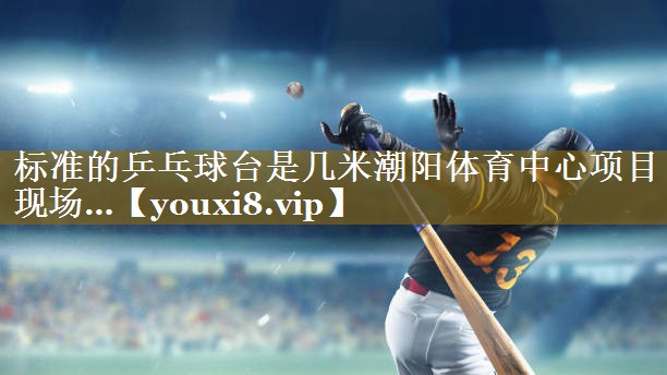 标准的乒乓球台是几米潮阳体育中心项目现场…