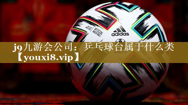 乒乓球台属于什么类