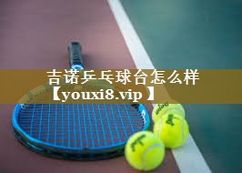 吉诺乒乓球台怎么样
