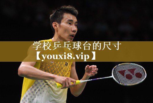 学校乒乓球台的尺寸